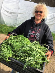 woman holding tray of dandelion greens