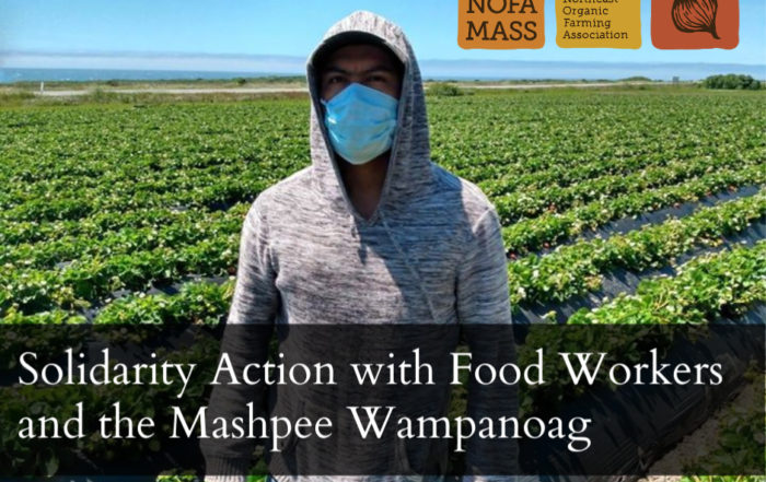 Farm worker in field with mask on