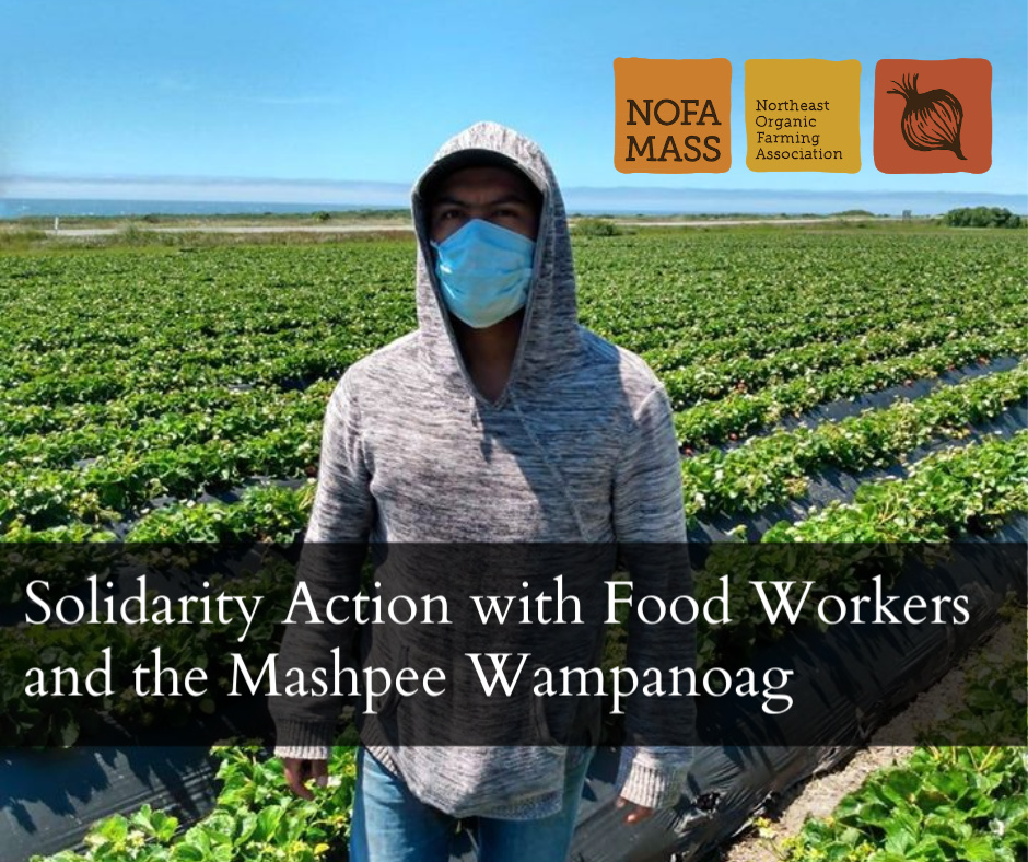 Farm worker in field with mask on