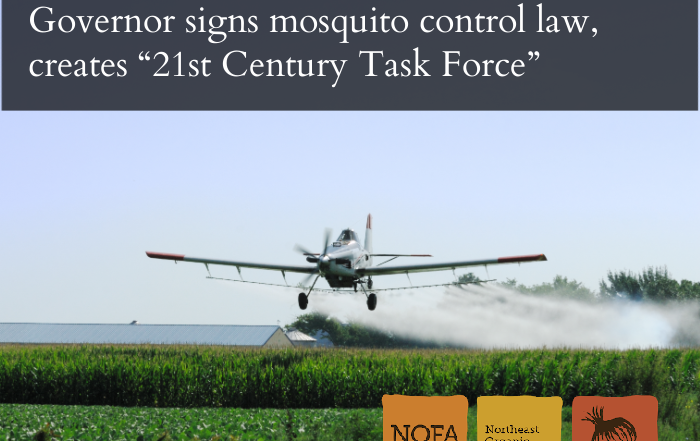 A small plane sprays a mist on a corn field