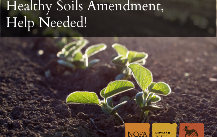 Plants emerge from soil
