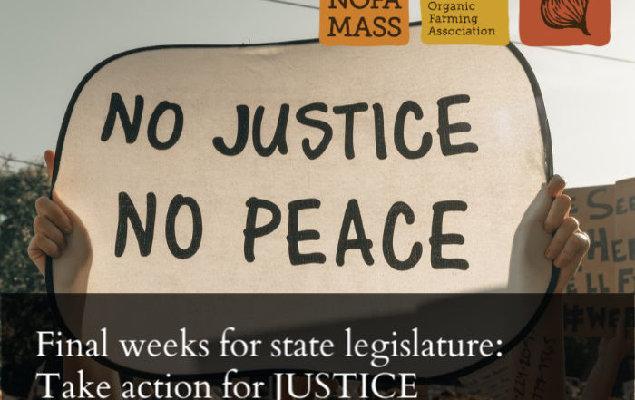 Hands holding a sign that says "no justice no peace"