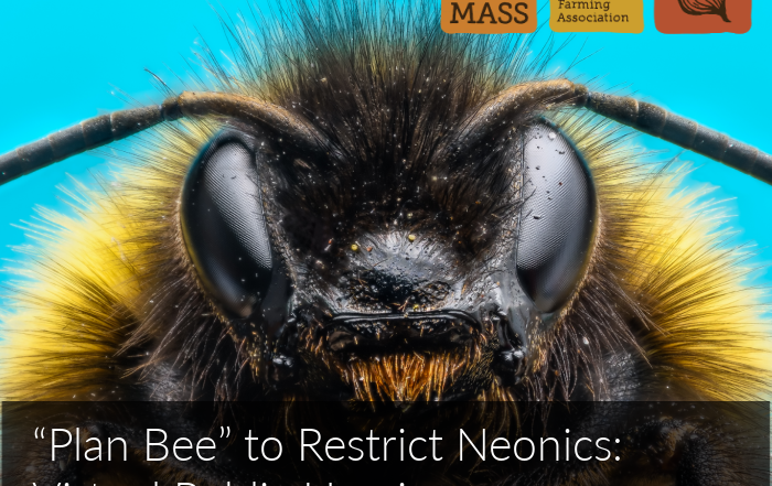 Closeup of bee face