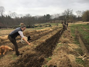 Person spreading amendments in a large garden