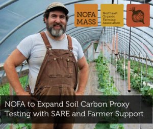 A farmer in overalls stand in a hoophouse with plants