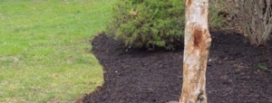 Organic_land_care