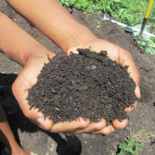 hands holding soil