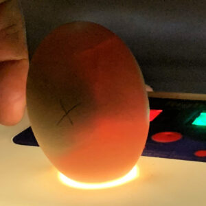 An egg being held to a light source with visual darkness within the egg