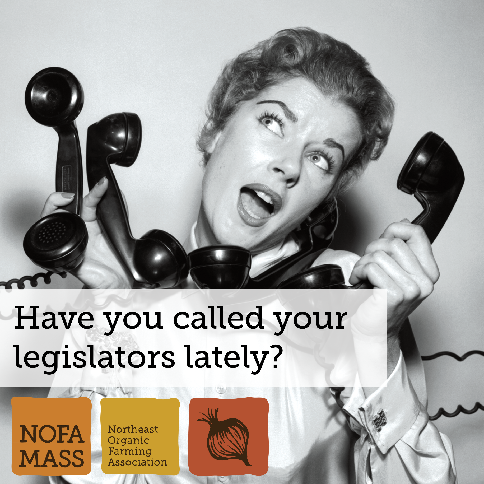 Have you called your legislators lately? Call your legislators!