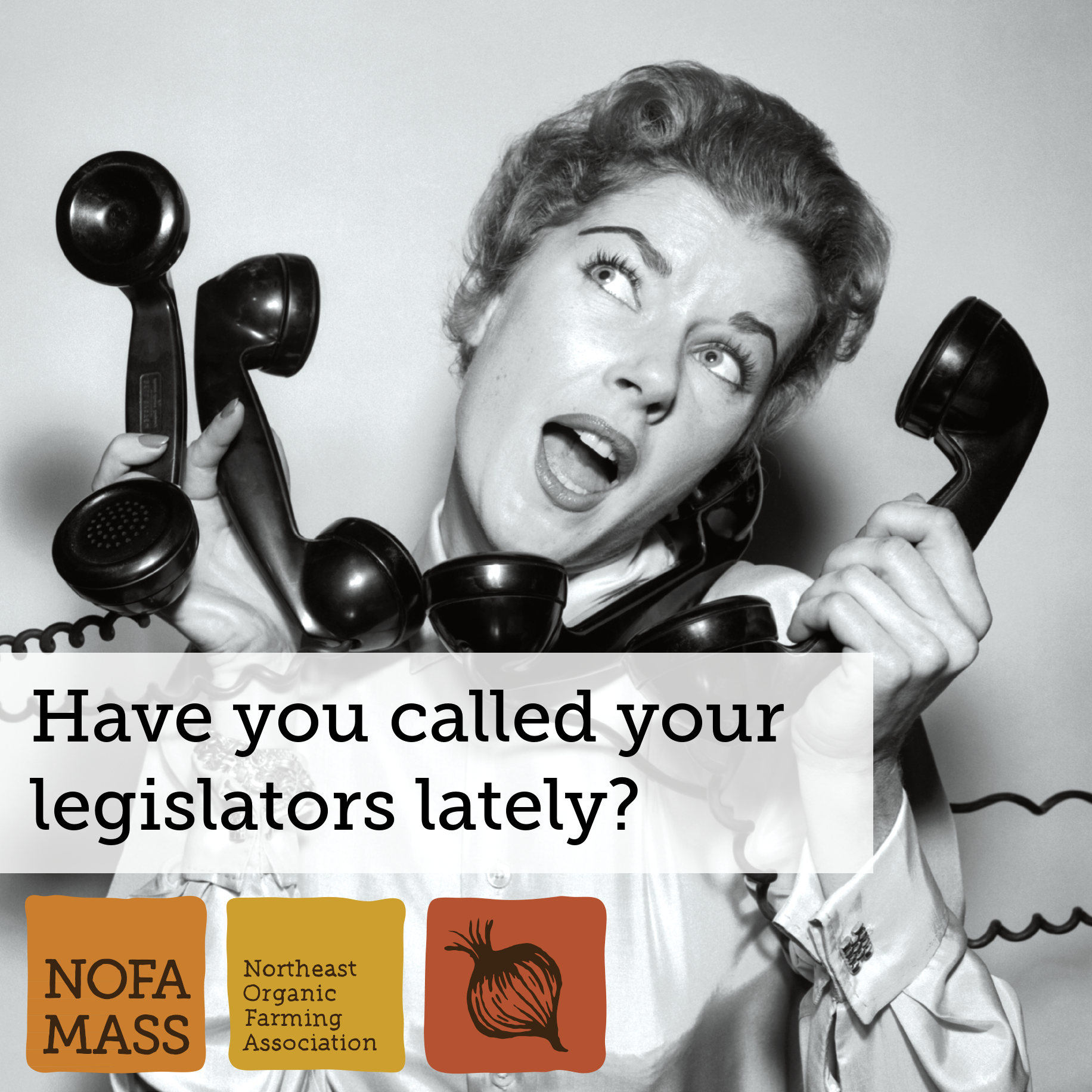 Call your legislators!