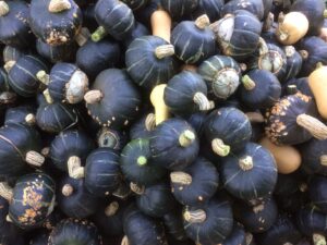 A pile of small, dark, round squash