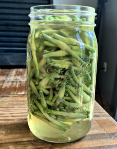 Garlic blossoms in a quart jar with apple cider vinegar