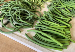 Garlic scape sections sorted with curled on the left and straight on the right