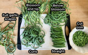 Sections of scapes sorted by size and shape