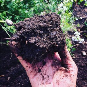 A hand holding a large ball of soil