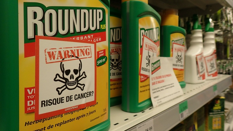 roundup - cancer risk?