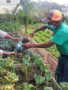 A man places a scoop of soil into a zip lock bag held by a woman