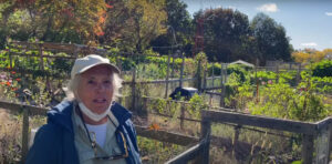 Still image from a video released on October 18th, 2021, featuring voices of gardeners objecting to the removal of the garden from its current location (Photo credit: Damon Krukowski)