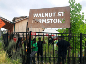 A fenced off area with people on both sides. A sign reads "Walnut St Farmstore".