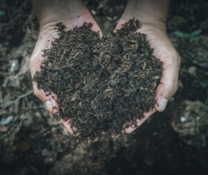 Two hands holding a large handful of soil