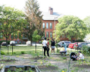 An urban garden with several people working in it.