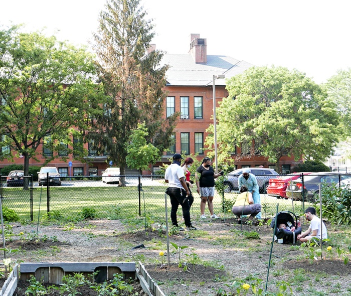 An urban garden with several people working in it.