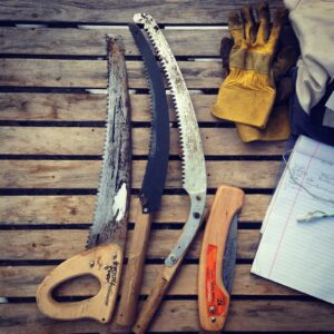 Handsaws, gloves and a pocket knife