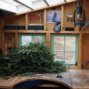 Greenery piled on the floor of a small well-lit room