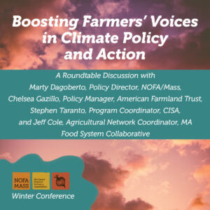 A cloudy sky with text overlay of "Boosting Farmers' Voice in Climate Policy and Action"