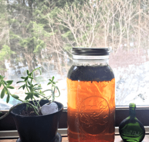 A mason jar filled with liquid and herbs on a windowsill next to a jade plant and small green bottle.