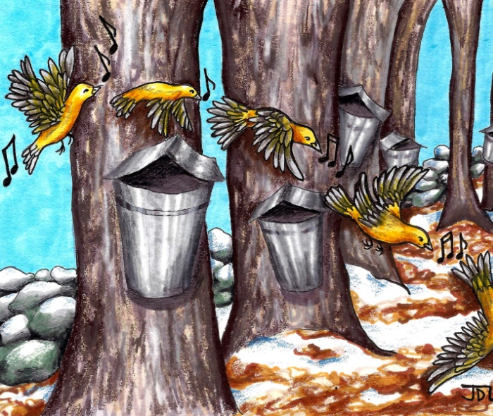 An artistic drawing of maple trees lined with buckets and yellow birds flying in a line with music notes