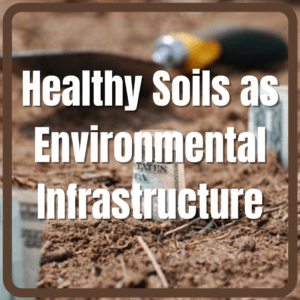 Healthy Soils as Environmental Infrastructure