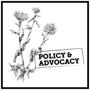 Text: Policy and Advocacy
