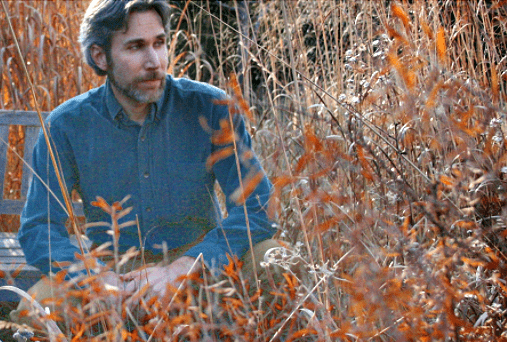 A man in a blue shirt among leafy brush