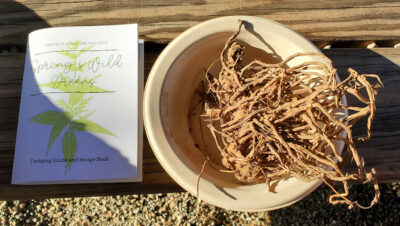 A bowl of dried dandelion roots with a booklet on the table next to it.