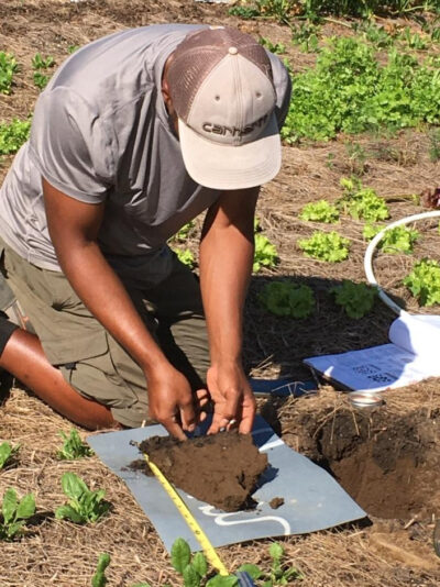 A person kneeling evaluating a soil sample