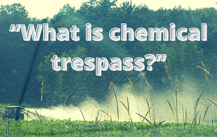 chemical drift on grass