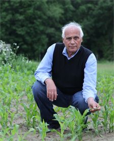 A man squatting down in a corn field
