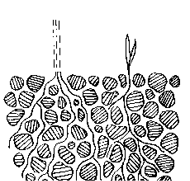 A black and white drawing of large soil aggregates and plant roots running between them.