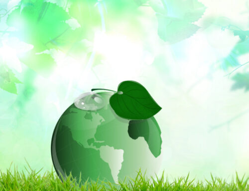 Earth Day Reflection, Call to Action