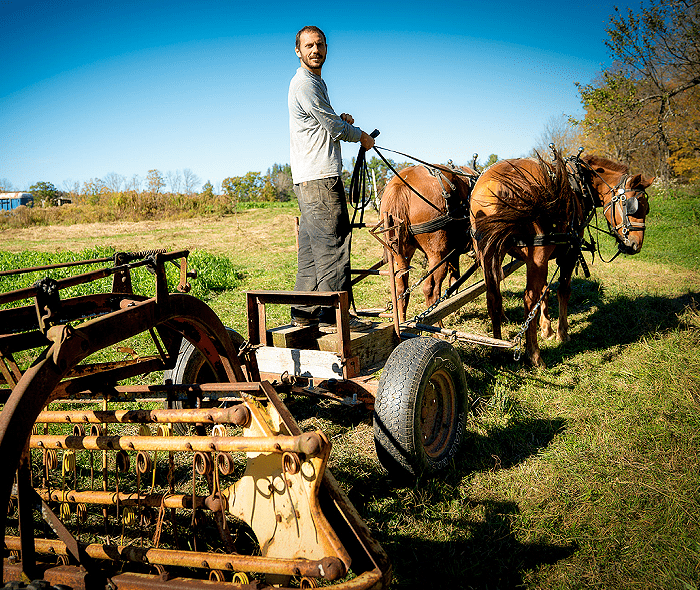A man standing on a plow with a team of horses attached to pull.