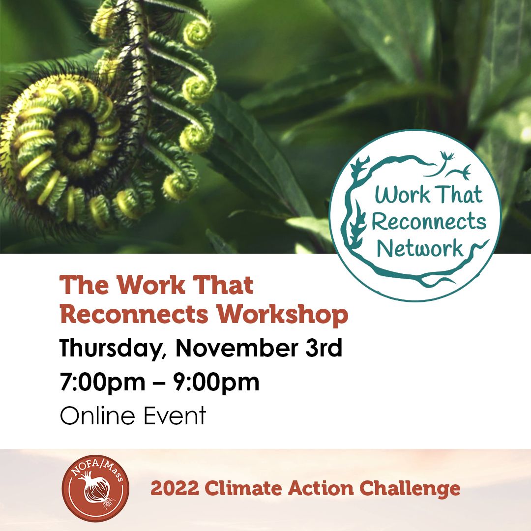 Photo of a fern unfurling advertising an event called "The Work That Reconnects"