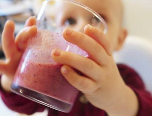 Homemade Baby Food and Smoothie Tips for Treats the Whole Family Can Enjoy