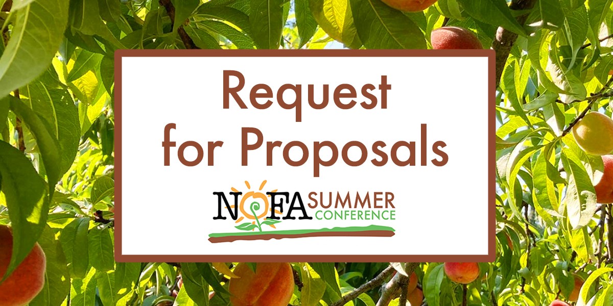 RFP SC 2023 Mailchimp