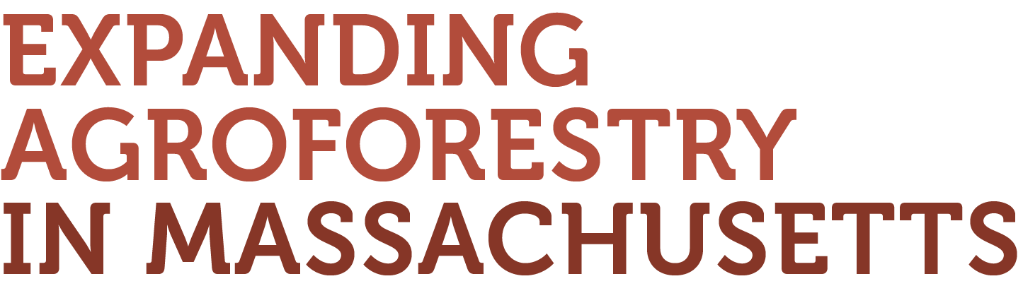Expanding Agroforestry Logo option 2