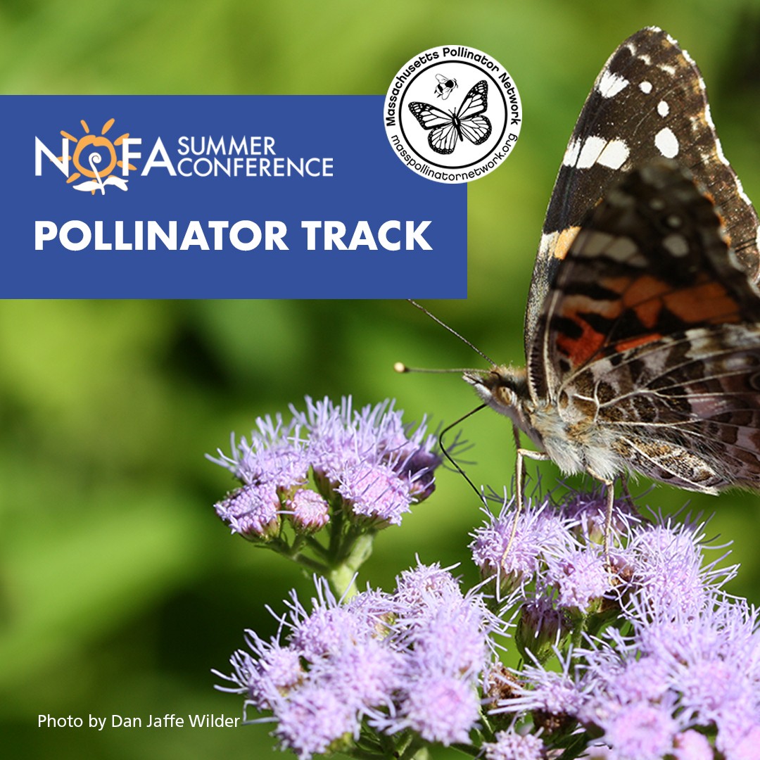 Check out our pollinator track programming all week long