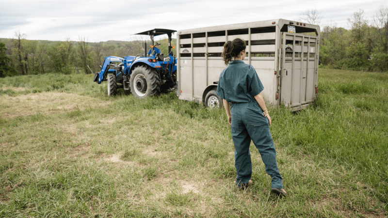 Farmer Mentee