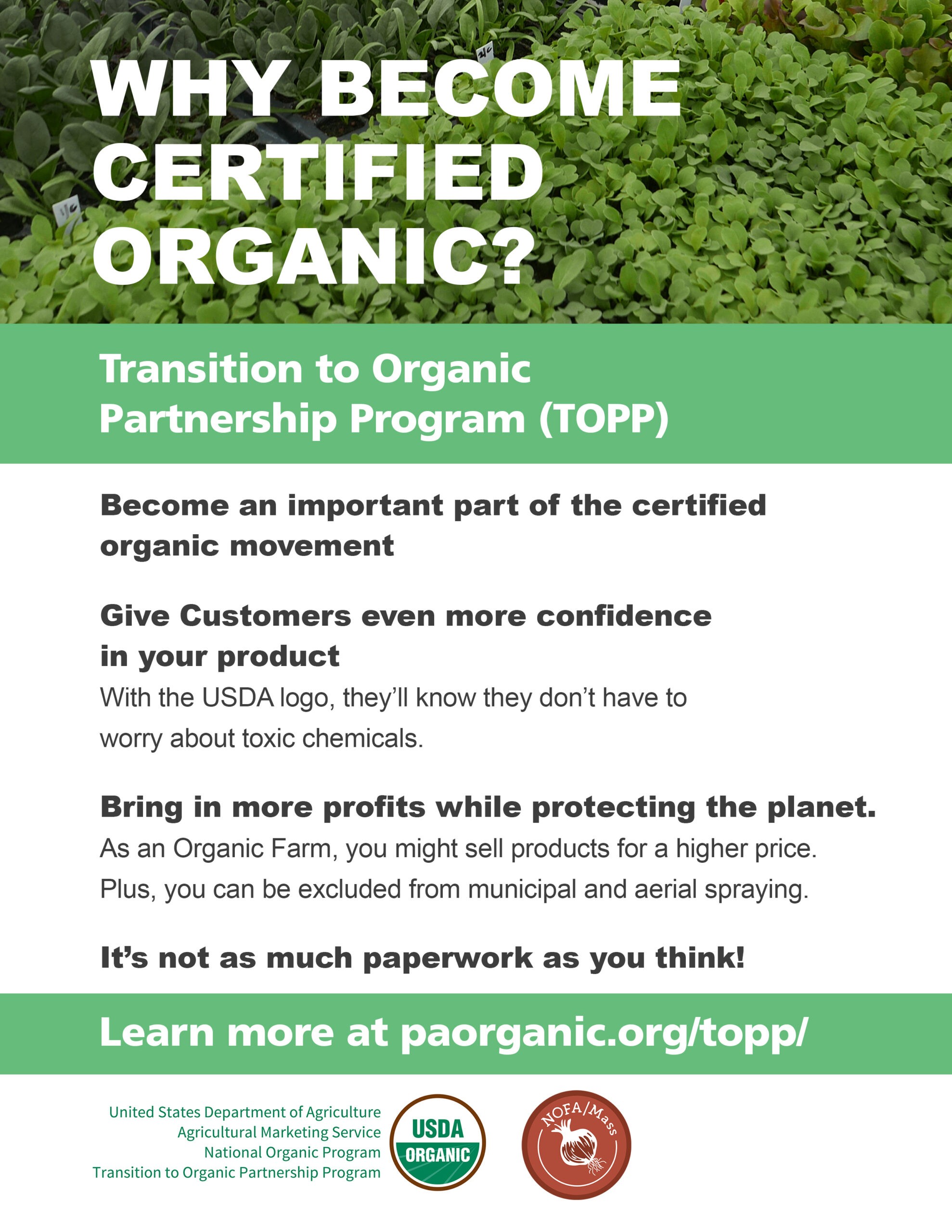 Why certify graphic