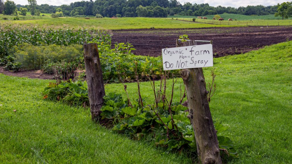 Be A Better Grower Newsletter