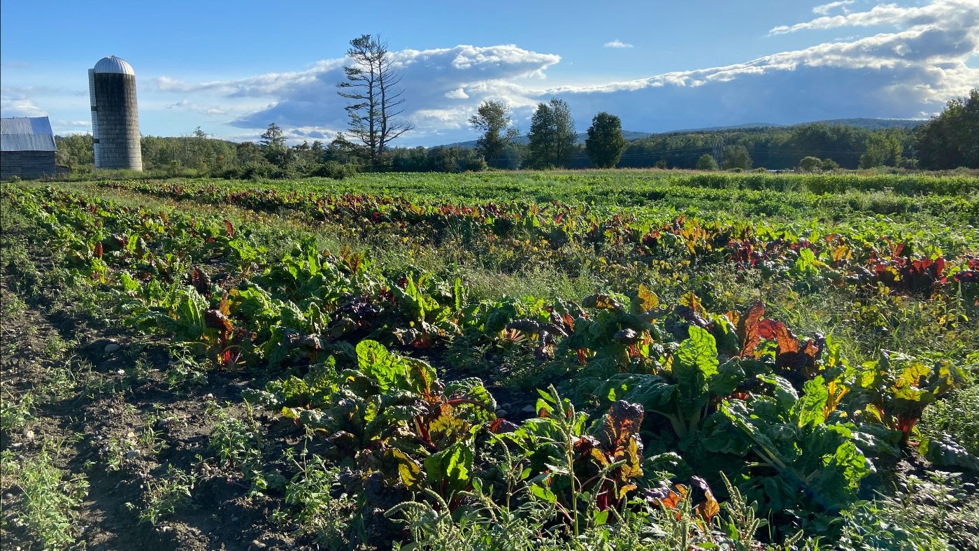 Farmscape